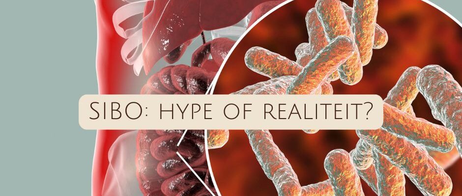SIBO: hype, hype of realiteit? Wat zeggen de studies écht?